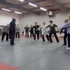 Jeu de 5 animaux Nov 16